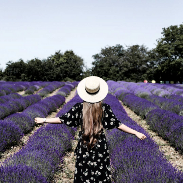 THE MOST INSTAGRAMMABLE SPOTS IN WINE COUNTRY